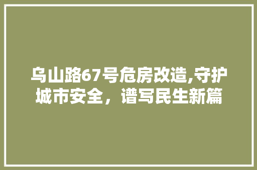 乌山路67号危房改造,守护城市安全，谱写民生新篇