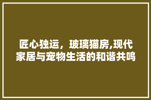 匠心独运，玻璃猫房,现代家居与宠物生活的和谐共鸣