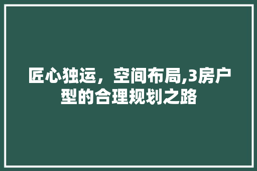 匠心独运，空间布局,3房户型的合理规划之路