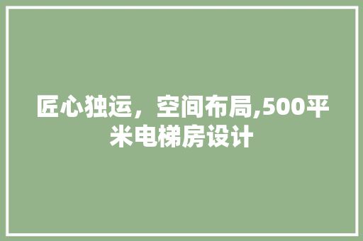 匠心独运，空间布局,500平米电梯房设计