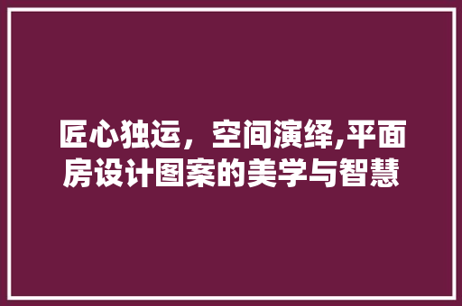 匠心独运，空间演绎,平面房设计图案的美学与智慧