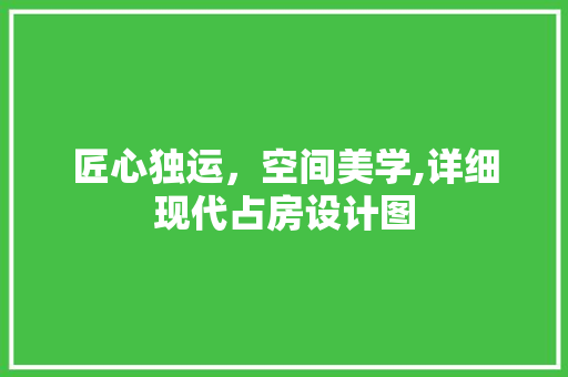 匠心独运，空间美学,详细现代占房设计图