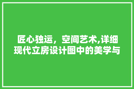 匠心独运，空间艺术,详细现代立房设计图中的美学与功能 建筑设计