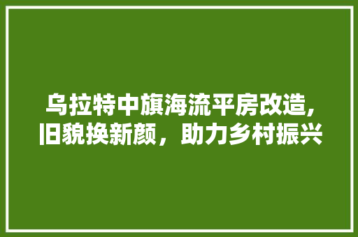 乌拉特中旗海流平房改造,旧貌换新颜，助力乡村振兴