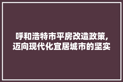 呼和浩特市平房改造政策,迈向现代化宜居城市的坚实步伐
