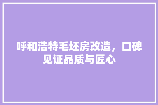 呼和浩特毛坯房改造，口碑见证品质与匠心