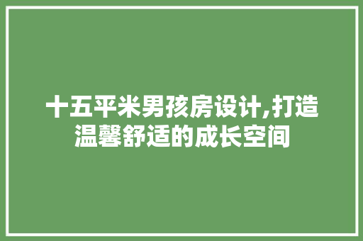 十五平米男孩房设计,打造温馨舒适的成长空间