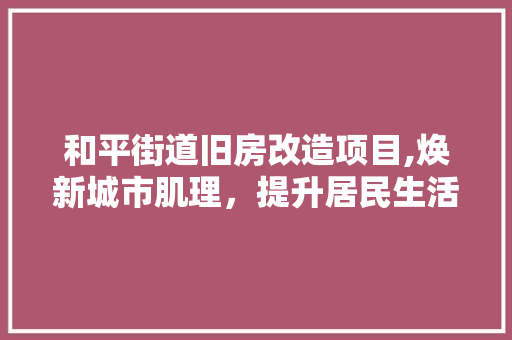 和平街道旧房改造项目,焕新城市肌理，提升居民生活品质 装修攻略
