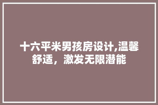十六平米男孩房设计,温馨舒适，激发无限潜能 隔断设计