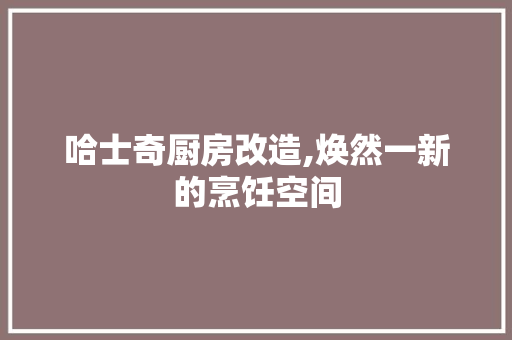 哈士奇厨房改造,焕然一新的烹饪空间