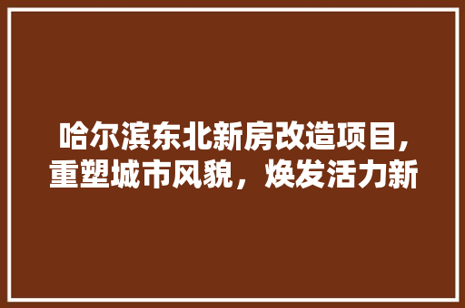 哈尔滨东北新房改造项目,重塑城市风貌，焕发活力新篇章
