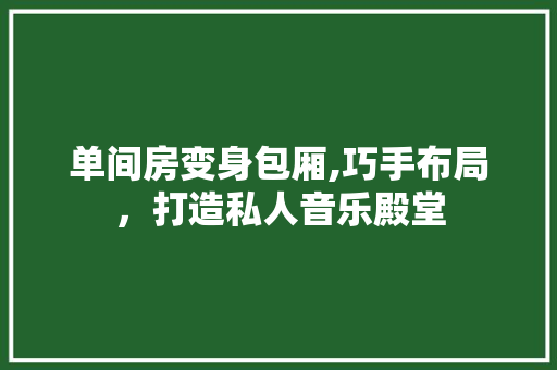 单间房变身包厢,巧手布局，打造私人音乐殿堂