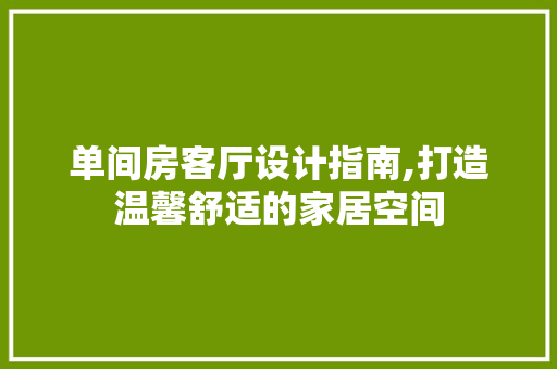 单间房客厅设计指南,打造温馨舒适的家居空间