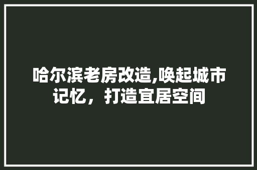 哈尔滨老房改造,唤起城市记忆，打造宜居空间 装修材料