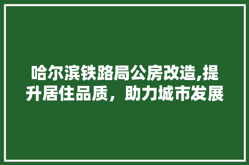 哈尔滨铁路局公房改造,提升居住品质，助力城市发展