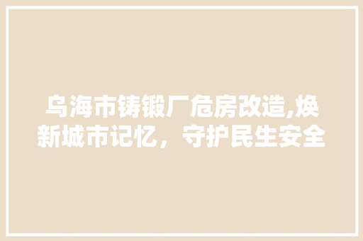 乌海市铸锻厂危房改造,焕新城市记忆，守护民生安全