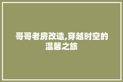 哥哥老房改造,穿越时空的温馨之旅