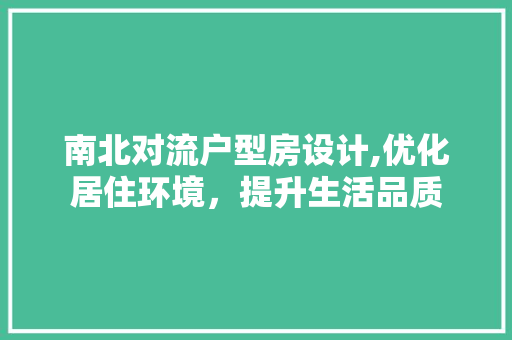 南北对流户型房设计,优化居住环境，提升生活品质