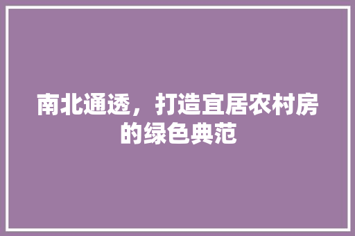 南北通透，打造宜居农村房的绿色典范