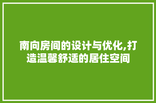 南向房间的设计与优化,打造温馨舒适的居住空间