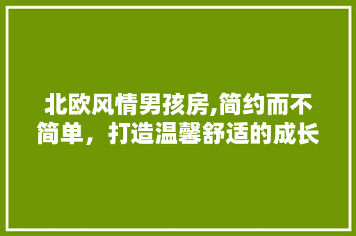 北欧风情男孩房,简约而不简单，打造温馨舒适的成长空间