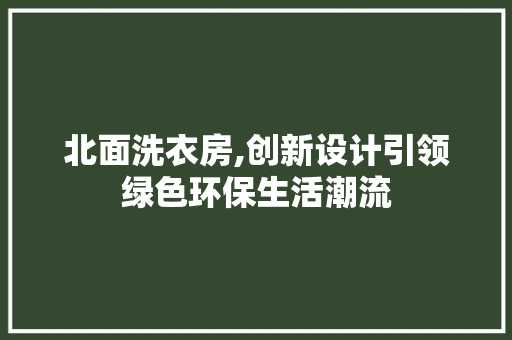 北面洗衣房,创新设计引领绿色环保生活潮流