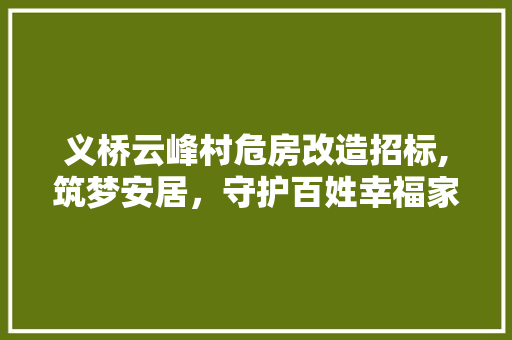 义桥云峰村危房改造招标,筑梦安居，守护百姓幸福家园 门窗装修