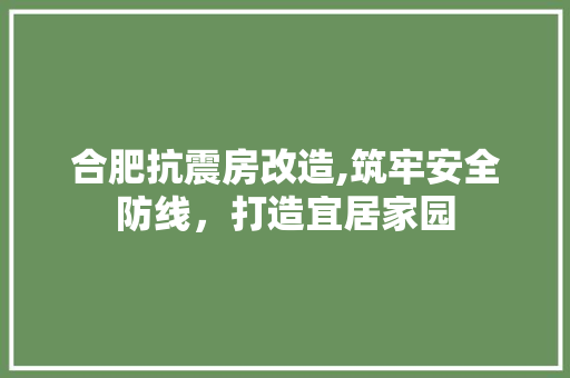 合肥抗震房改造,筑牢安全防线，打造宜居家园