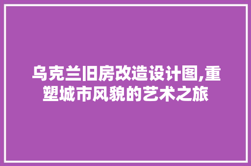 乌克兰旧房改造设计图,重塑城市风貌的艺术之旅 装修材料