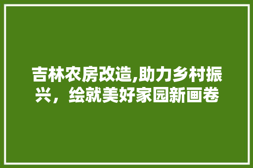 吉林农房改造,助力乡村振兴，绘就美好家园新画卷