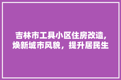 吉林市工具小区住房改造,焕新城市风貌，提升居民生活品质