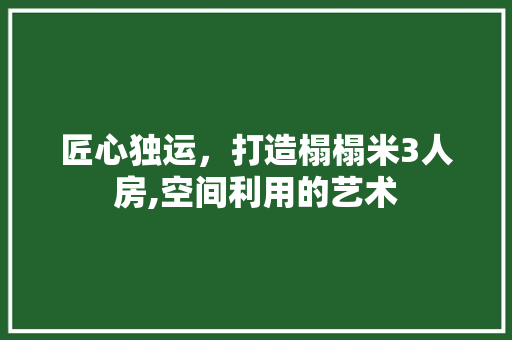 匠心独运，打造榻榻米3人房,空间利用的艺术