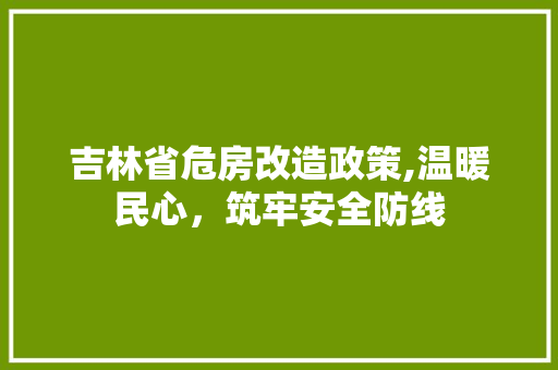 吉林省危房改造政策,温暖民心，筑牢安全防线