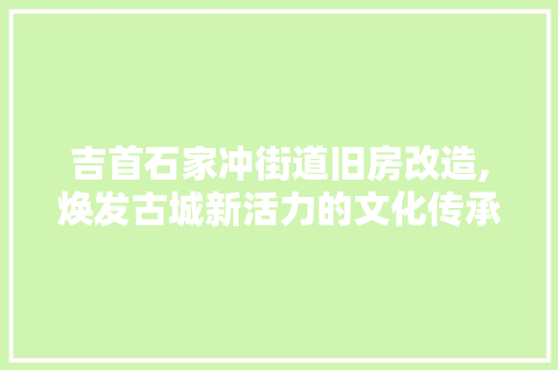 吉首石家冲街道旧房改造,焕发古城新活力的文化传承与创新方法