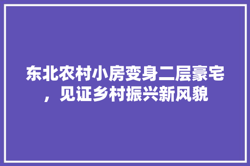 东北农村小房变身二层豪宅，见证乡村振兴新风貌