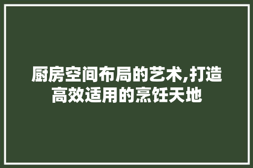 厨房空间布局的艺术,打造高效适用的烹饪天地