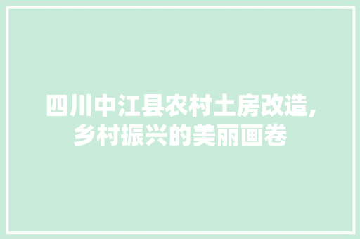 四川中江县农村土房改造,乡村振兴的美丽画卷