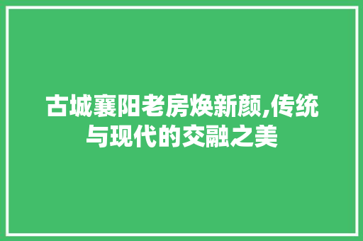 古城襄阳老房焕新颜,传统与现代的交融之美 墙面装饰