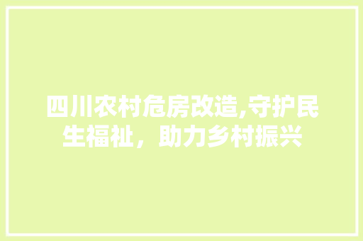 四川农村危房改造,守护民生福祉，助力乡村振兴