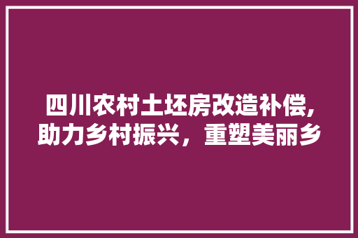 四川农村土坯房改造补偿,助力乡村振兴，重塑美丽乡村新风貌