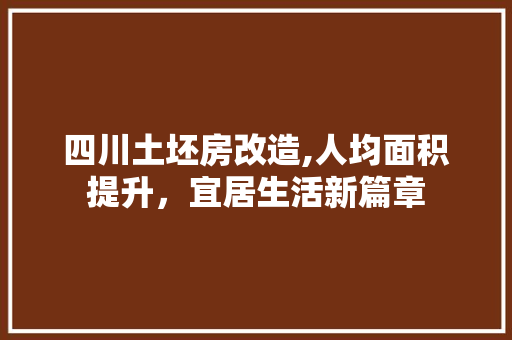 四川土坯房改造,人均面积提升，宜居生活新篇章