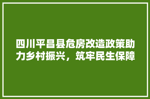 四川平昌县危房改造政策助力乡村振兴，筑牢民生保障防线