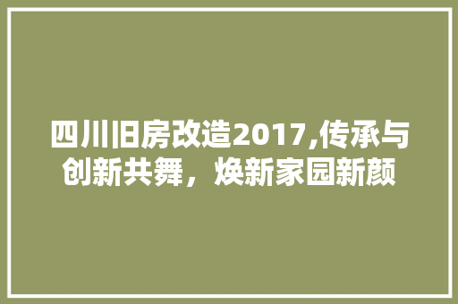 四川旧房改造2017,传承与创新共舞，焕新家园新颜 地面装修