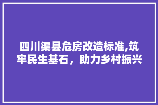 四川渠县危房改造标准,筑牢民生基石，助力乡村振兴 景观设计