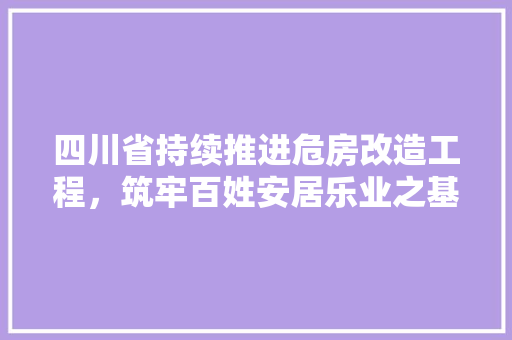 四川省持续推进危房改造工程，筑牢百姓安居乐业之基