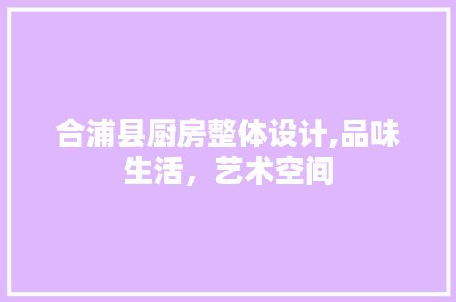 合浦县厨房整体设计,品味生活，艺术空间