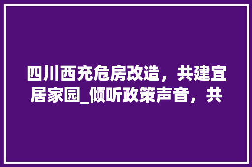 四川西充危房改造，共建宜居家园_倾听政策声音，共筑美好未来 墙面装饰