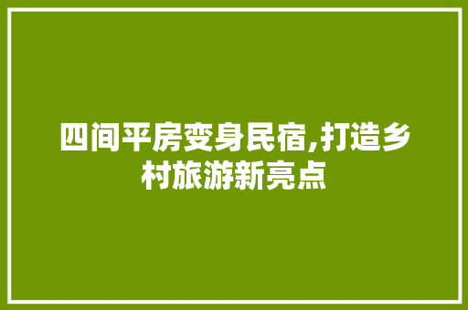 四间平房变身民宿,打造乡村旅游新亮点