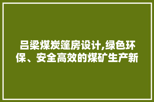 吕梁煤炭篷房设计,绿色环保、安全高效的煤矿生产新选择 地面装修