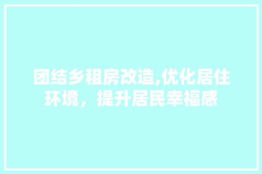 团结乡租房改造,优化居住环境，提升居民幸福感 景观设计
